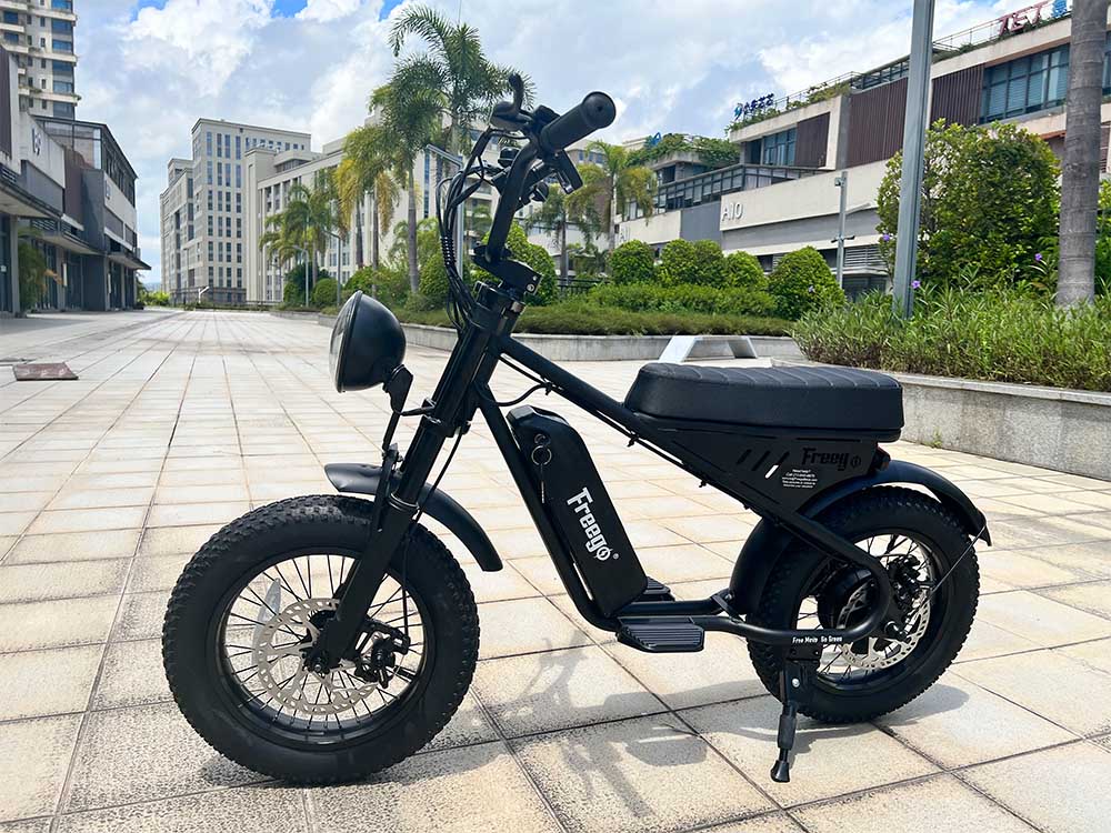 Freego Mini Electric Motorcycle for Child M1