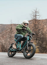 ENGWE X20 Triple Suspension Foldable E-bike