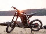 Freego X2 Off Road Dirt Electric Mountain Bike