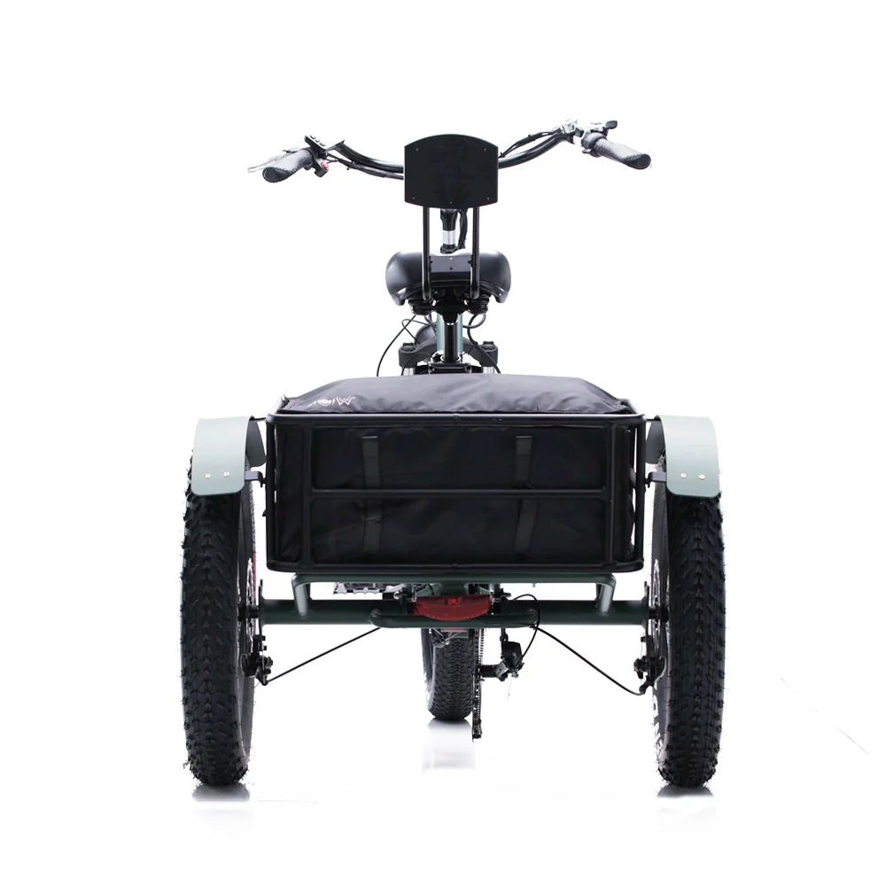 Oh Wow Cycles Conductor 750 Electric Trike
