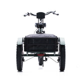 Oh Wow Cycles Conductor 750 Electric Trike