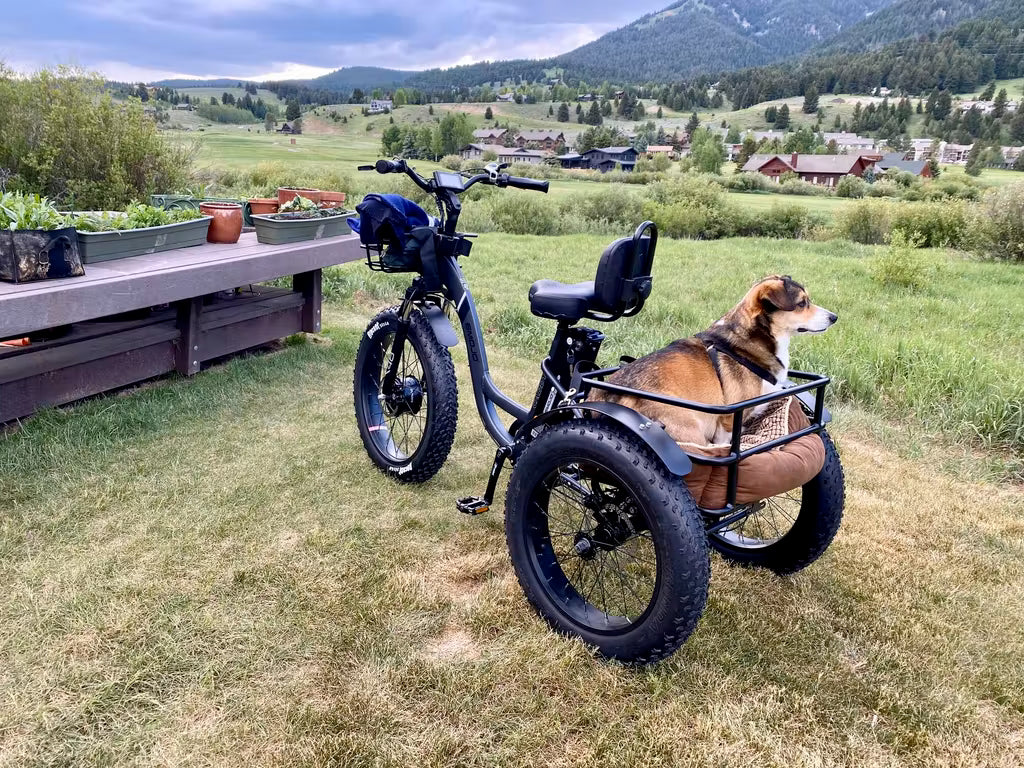 Emojo Caddy Pro Electric Tricycle