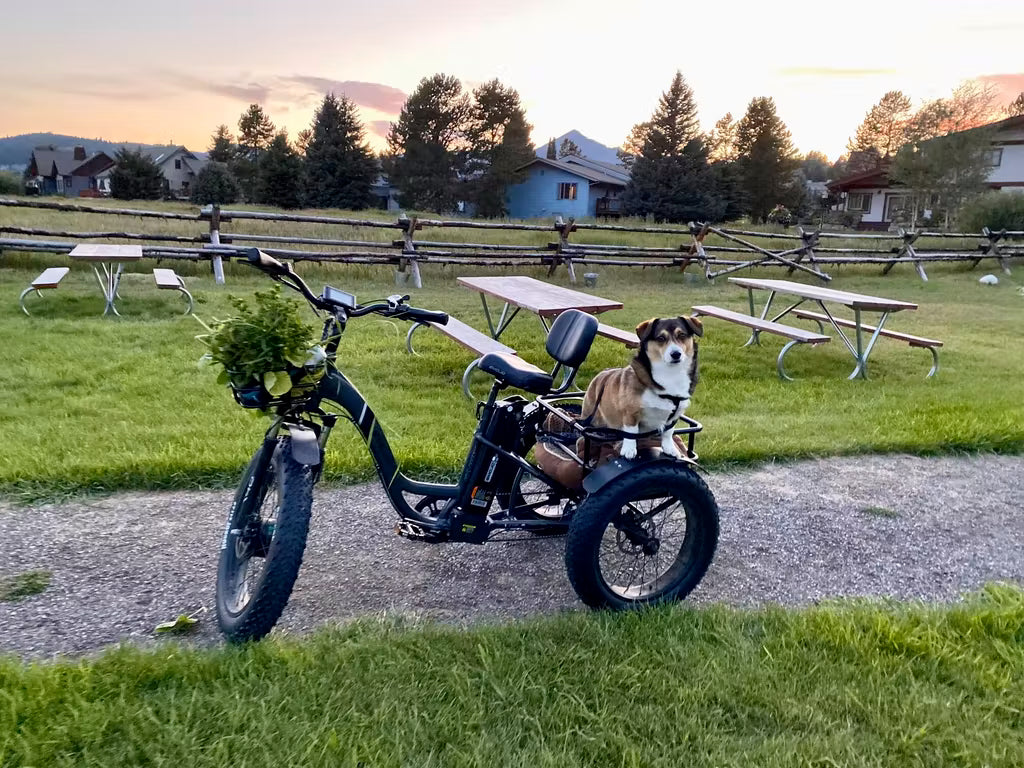 Emojo caddy 48v 500w fat tire electric trike deals