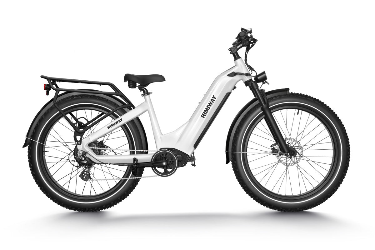 zebra electric bicycle Step Thru Electric Bike | White Color