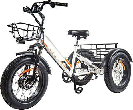 DWMEIGI Zeus MG1703 750W Electric Fat Tire Trike