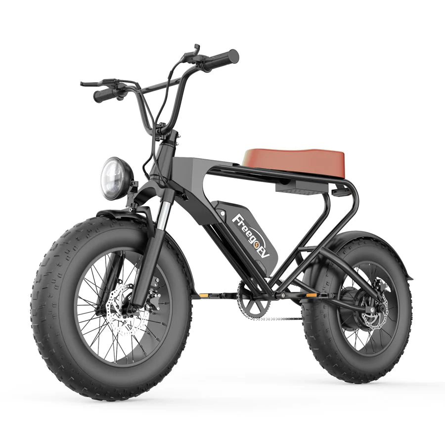 Electric bike with wide tires sale