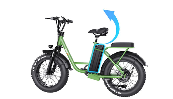 Freego FB-20X Step-thru Fat Tire Electric Bike
