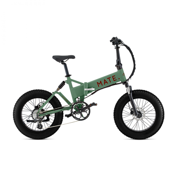 Mate X 750W 250W Folding Long Range Electric Bike E Wheel