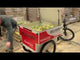 Coaster Cycles Venture Electric Cargo Tricycle